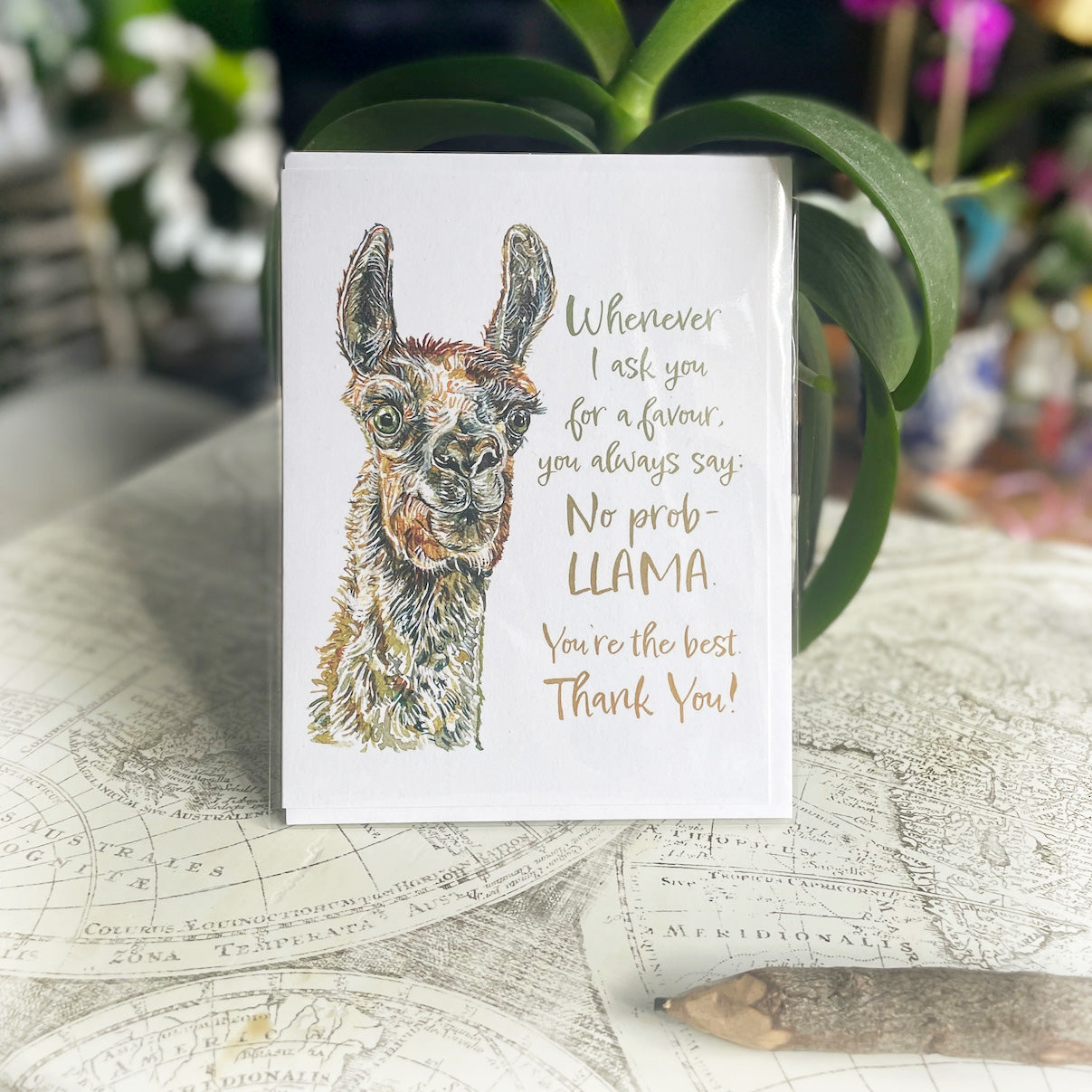 No ProbLLAMA Thank You Card