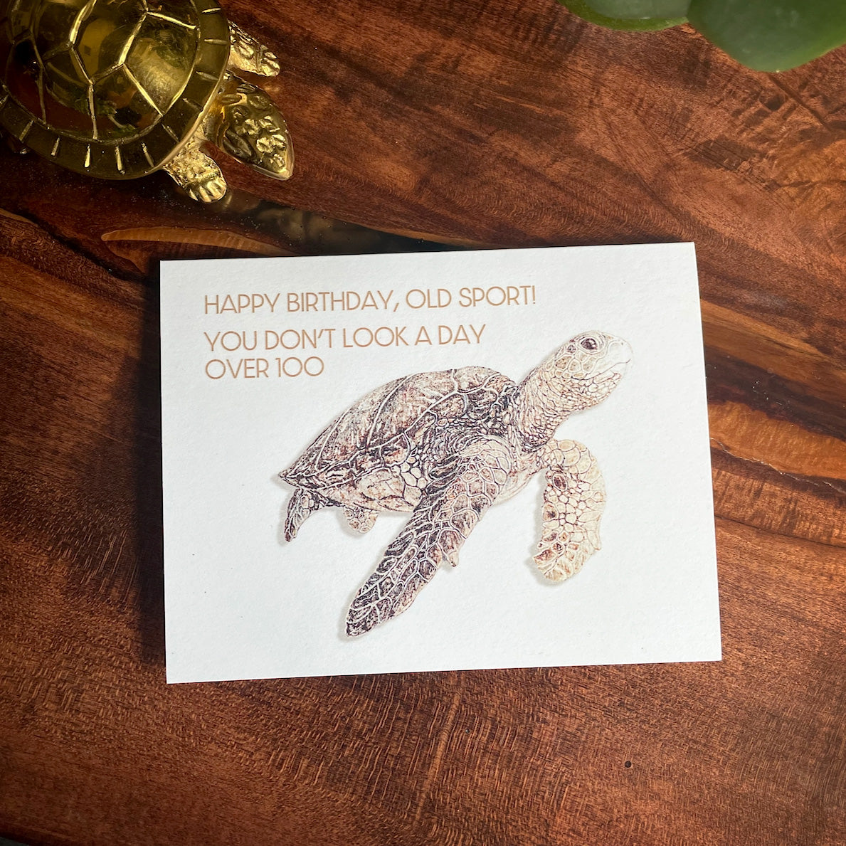 Old Sport Turtle Birthday Card